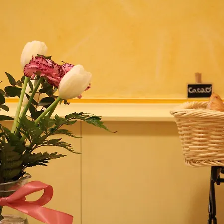 Hotel Matteotti 3*